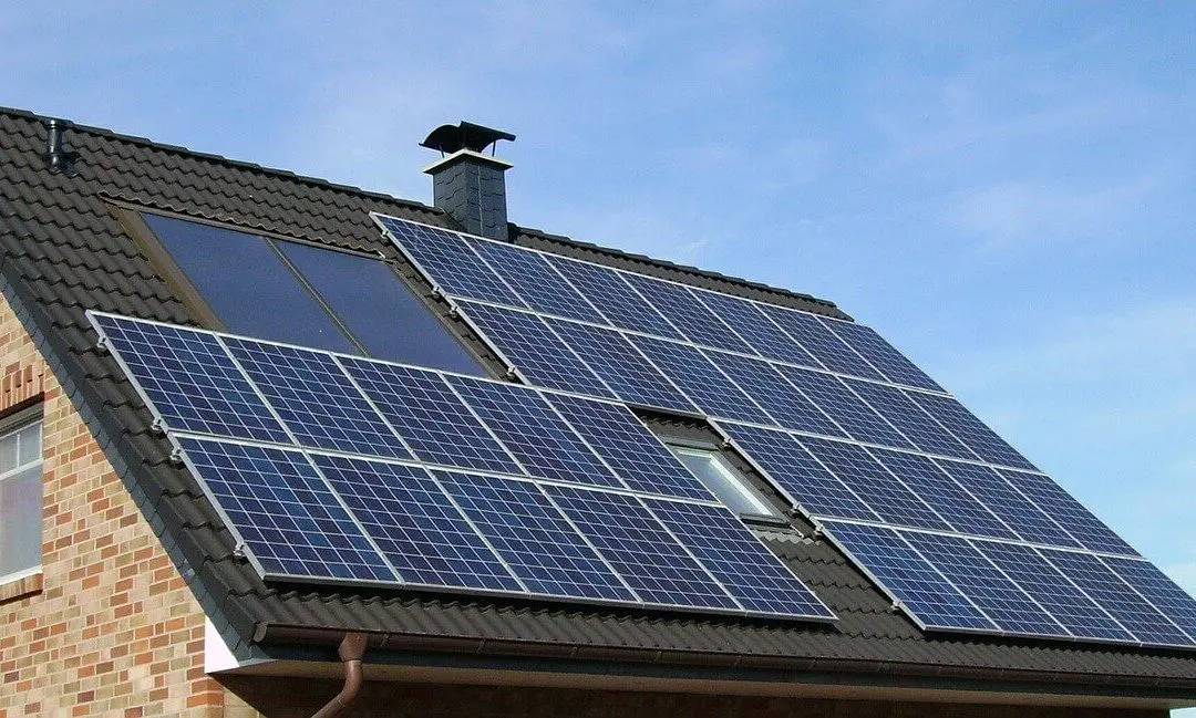 Eco-Friendly Improvements That Make a Difference