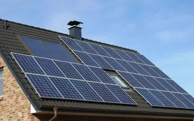 Eco-Friendly Improvements That Make a Difference